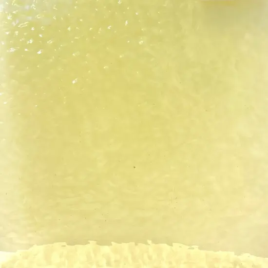 Wissmach CITRON English Muffle Stained Glass Sheet &ndash; Vintage Ripple Textured Art Glass for Mosaics, Panels, Lamps & DIY Crafts | Hand-selected by The Little Flowers {2}