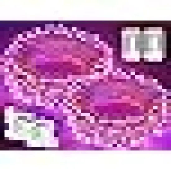 Battery Powered String Lights with Remote Outdoor Indoor {6}