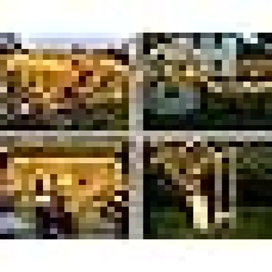 Modes Warm White Christmas Light {2}