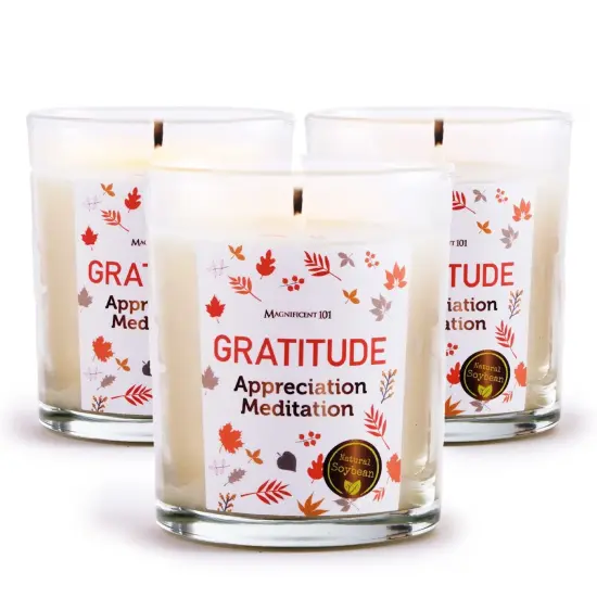 Magnificent 101 Set of 3 Long-Lasting Gratitude Smudge Candles | 3.5 Oz Each - 42 Hour Burn |Made of Soy Wax for House Energy Cleansing, Meditation & Manifestation Multicolor {1}