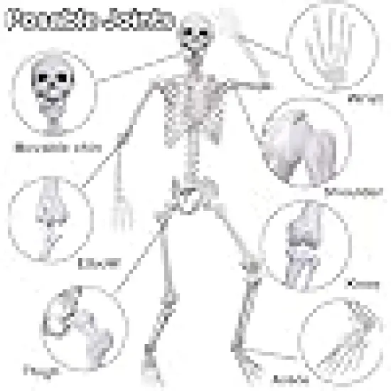 Movable Joint for Halloween Outdoor Indoor Decorations {3}