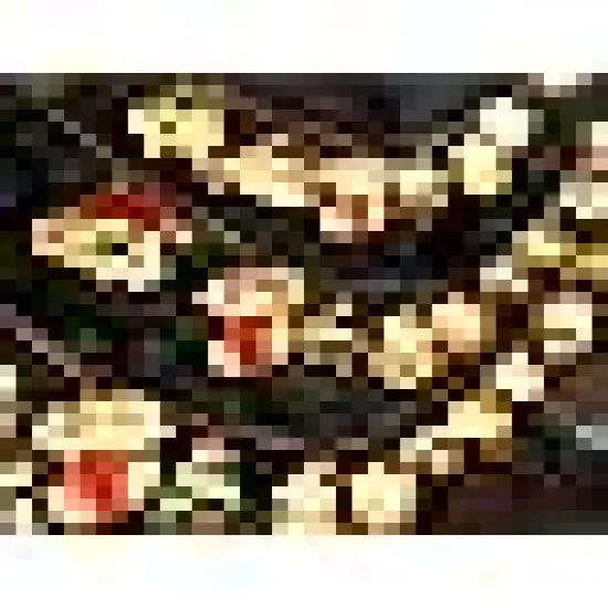 Santa Claus Wreath Tree Snowman Candy Cane Hat Stockings Battery Operated Indoor Window Lights for Party Home {4}