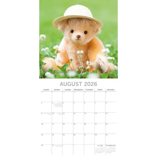 The Gifted Stationary 2026 Square Wall Calendar, Teddy Bears, 16-Month Lifestyles Theme Hanging Calendar with 180 Reminder Stickers, Month Planner for Home, or Creative Spaces, 12x12 In Multicolor {3}