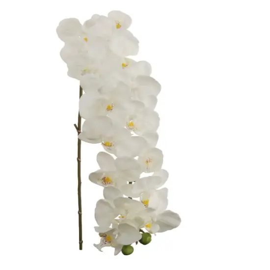 2pcs 49" Phalaenopsis Orchid Stem - 2025 Spring Collection {1}