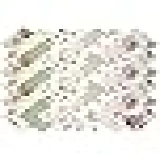 inch Squares Layer Cake Print Floral Fabrics {4}