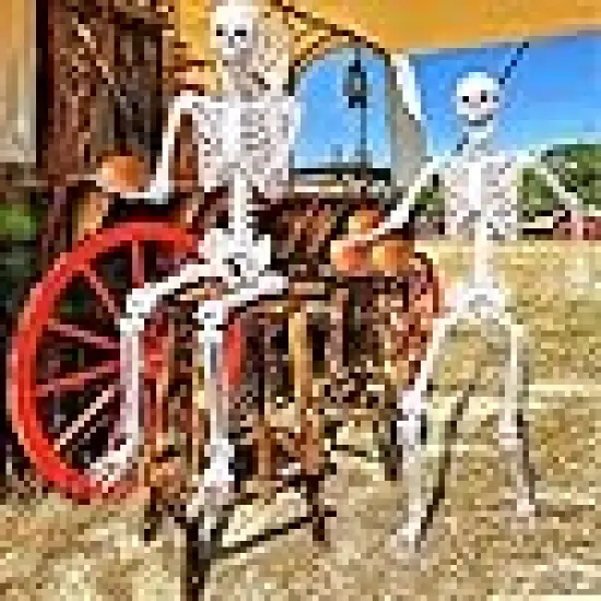 Skeleton Full Body Human Skeleton for Halloween Decorations {2}