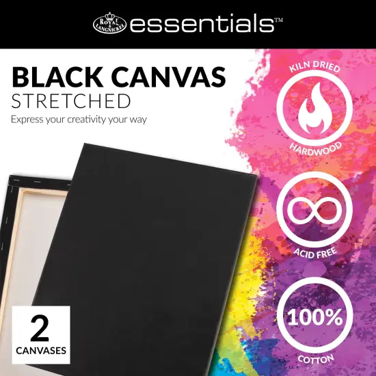 CNVB-BLK810-2 | 2pk 8 x 10 Panel Value Black {5}