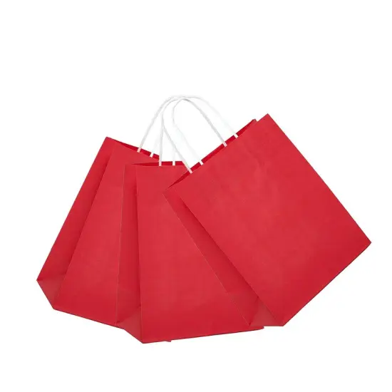 Spacious Bright Matte Shopping Bag with White Interior 10" x 5" x 13" {5}