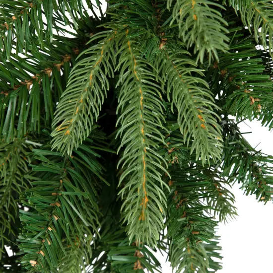 Northlight Real Touch&trade;️ Washington Frasier Fir Artificial Christmas Wreath - 24" - Unlit Green {6}