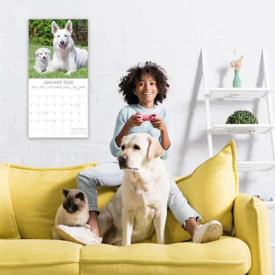 The Gifted Stationary 2026 Square Wall Calendar, Dogs & Puppies, 16-Month Animals Theme Hanging Calendar with 180 Reminder Stickers, Month Planner for Home, or Creative Spaces, 12x12 In Multicolor {2}