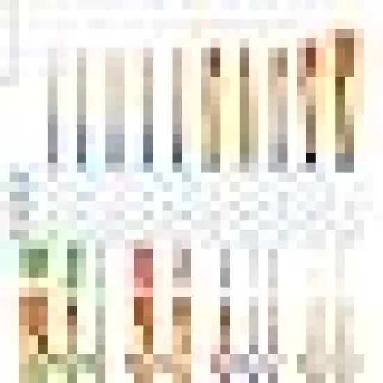 Brushes with Nylon Brush Head and {4}