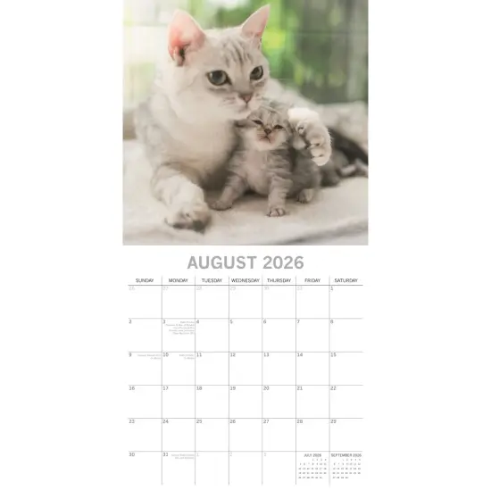 The Gifted Stationary 2026 Square Wall Calendar, Cats & Kittens, 16-Month Animals Theme Hanging Calendar with 180 Reminder Stickers, Month Planner for Home, or Creative Spaces, 12x12 In Multicolor {3}
