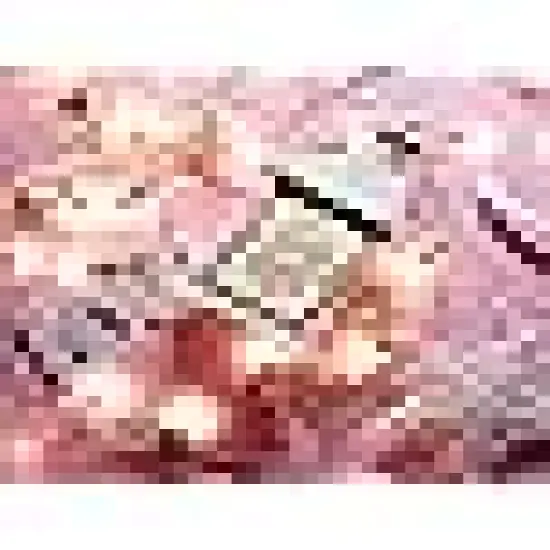 Incandescent Mini String Light {4}