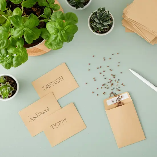 100 Pack Small Seed Saving Envelopes - 4.5x3.25 Self Adhesive Blank Packets for Coins, Stamps, Mini Parts Storage (Brown) {3}