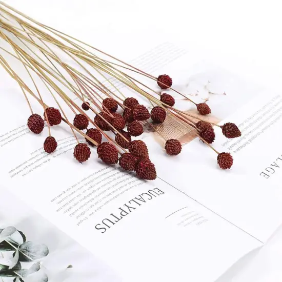 30 Pcs Dried Flowers Bouquet {5}