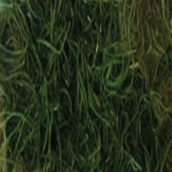 Quality Growers Preserved Spanish Moss 108.5 Cubic Inches-Apple Green {2}