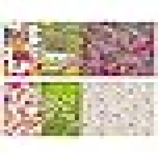 Quilting Fabric Bundles for Quilt, Sewing Project, Patchwork Precut Quilt Squares {2}