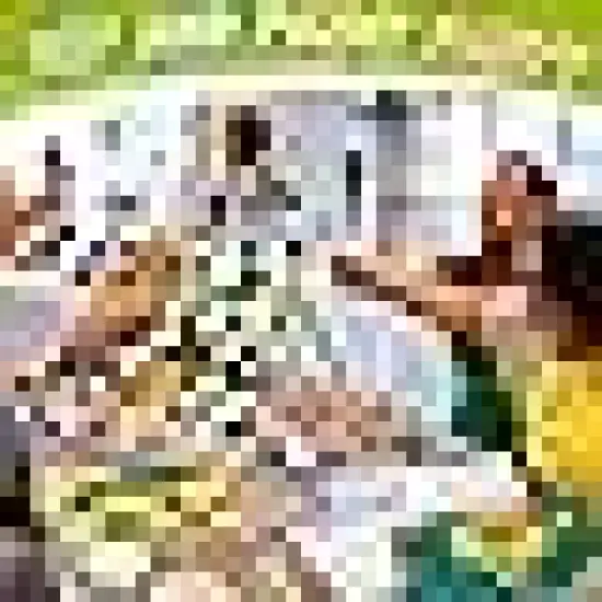 Paint Party Favor DIY Virtual Party Gifts for Painting {3}