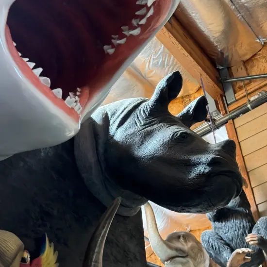 Baby Rhinoceros Head Life Size Statue {5}