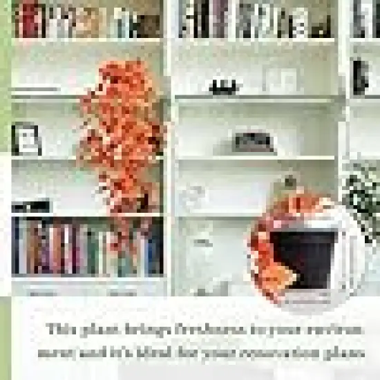 Faux Pothos with Faux Ivy Vine {2}