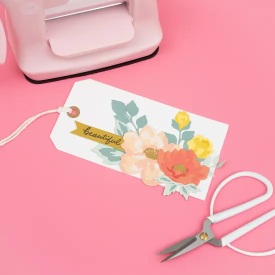 Mini Evolution Die Cut Machine Kit-Pink {6}