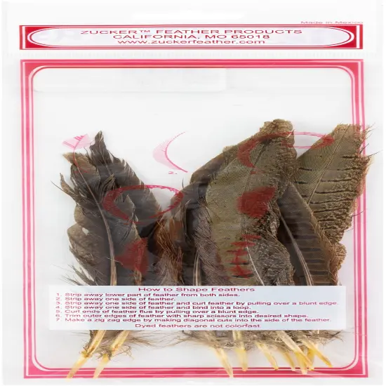 Zucker Ringneck Pheasant Tails 8"-10" 10/Pkg-Natural {4}