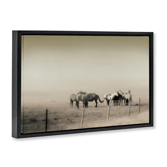 Stupell Industries The Herd Monochrome Horses Floating Frame, design by Roberta Murray {3}