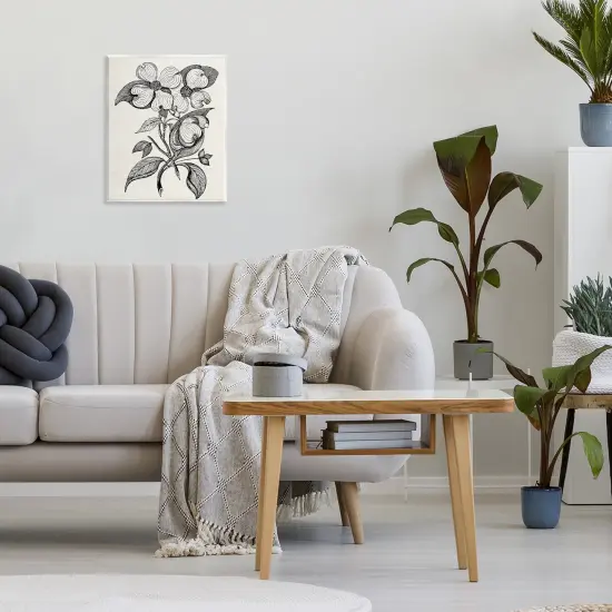 Stupell Industries Classic Cut of Dogwood Wall Plaque, design by Karen Smith {2}