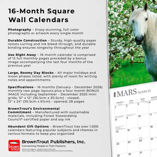 Chevaux | 2026 12 x 24 Inch (Hanging) Monthly Square Wall Calendar | French Language {6}