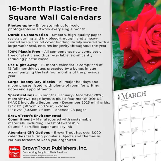 Roses | 2026 12 x 24 Inch (Hanging) Monthly Square Wall Calendar | Plastic-Free {6}