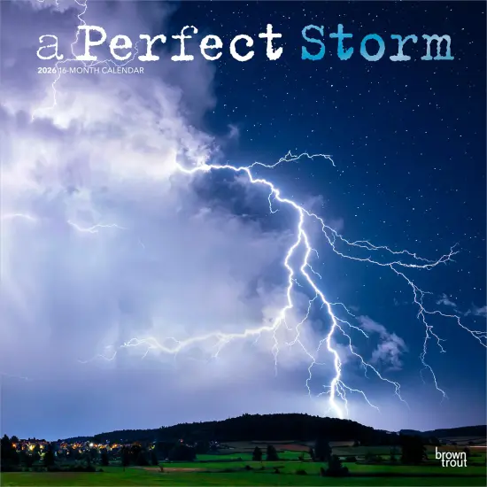 A Perfect Storm | 2026 12 x 24 Inch (Hanging) Monthly Square Wall Calendar | Foil Stamped Cover | Plastic-Free {1}