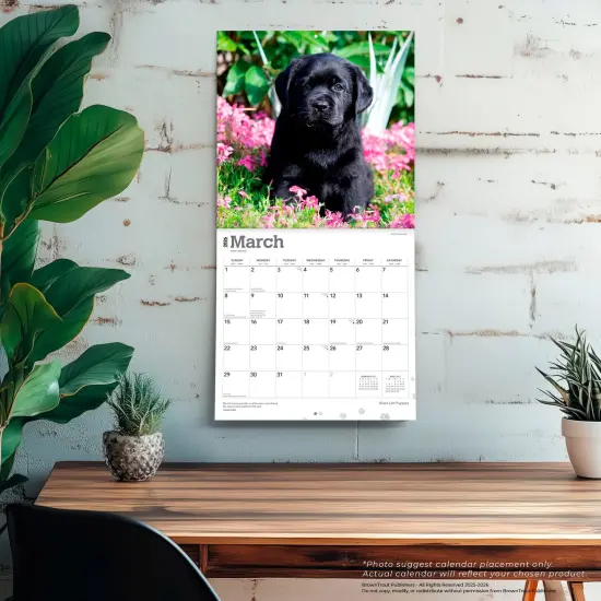 Black Labrador Retriever Puppies | 2026 12 x 24 Inch (Hanging) Monthly Square Wall Calendar | Plastic-Free {5}