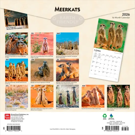 Meerkats | 2026 12 x 24 Inch (Hanging) Monthly Square Wall Calendar | Plastic-Free {2}