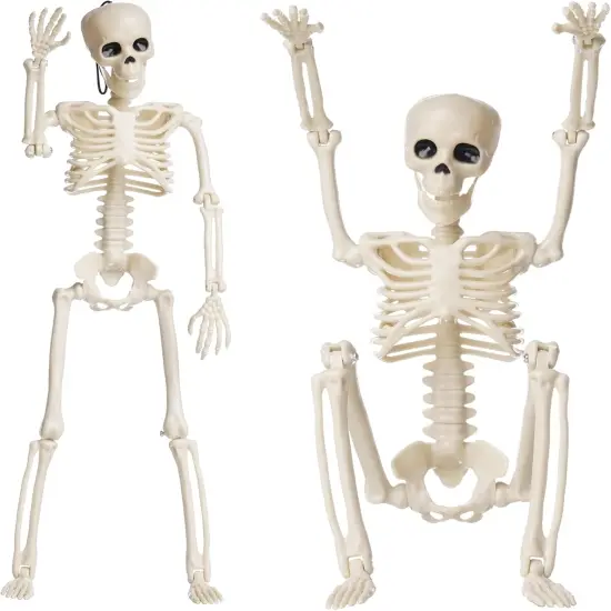 Halloween Decoration Outdoor 2 Pack Skeleton, 16" Plastic Posable Skeleton {4}