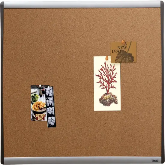 Cork Board, 17" x 23" Bulletin Board, Corkboard(Black/Silver Frame) {1}