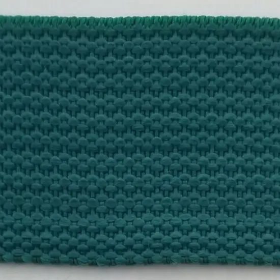 1" Polypropylene Webbing - 20 Continuous Yards Teal {1}