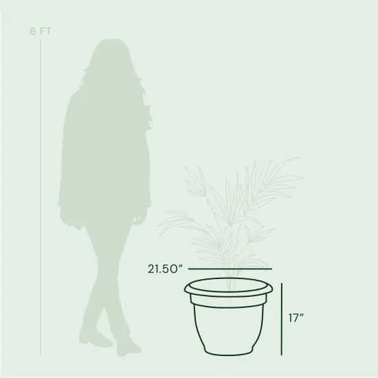 Bloem Ariana Pot Planter: 20" - Pebble Stone - Durable Resin Pot, Indoor and Outdoor Use, Gardening, Self Watering Disk Included, 11 Gallon Capacity {5}