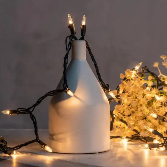 Clear Christmas Lights with Black Wire {3}