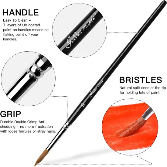 Watercolor Brushes Professional Set, 10 Artist Brushes Watercolor Paint Brushes {5}