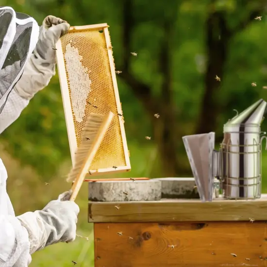 Honey Keeper 14-Inch Bee Hive Brush with Wooden Handle - Beekeeping Tool for Beekeepers {5}