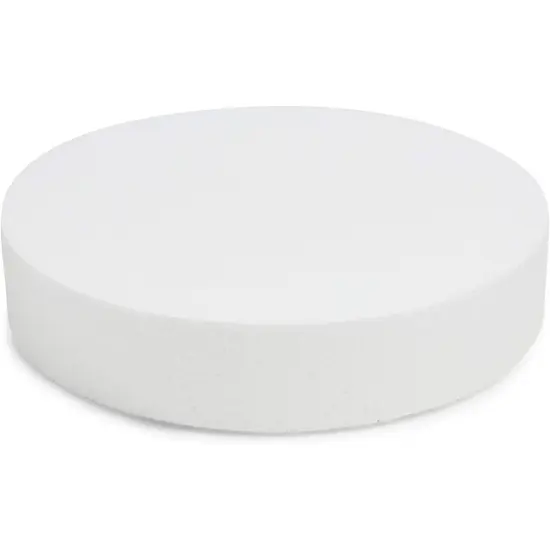 Craft Foam Disks, White Circles for Arts and DIY Crafts (10 x 2 in, 3 Pack) {4}