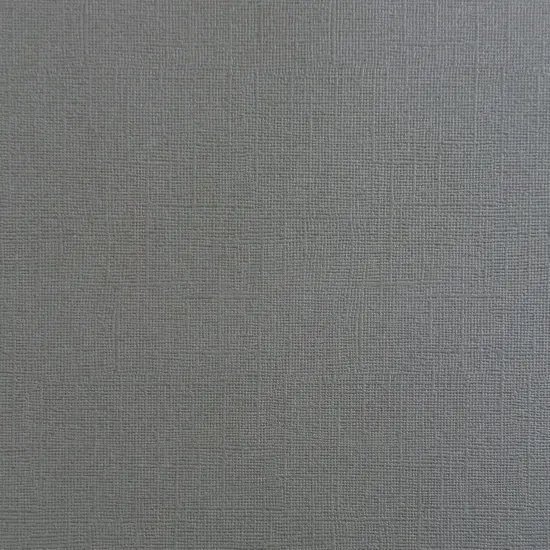 DOLPHIN - Textured 12x12 Cardstock - Encore Paper {1}