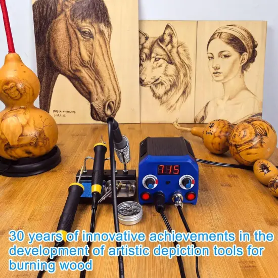 LH55-3-3 Wood Burner kit Wood Burning Tool Pen 200~750℃, Wood Burning kit with Digital Thermometer Temperature Adjustable Temperature 3 pyrographic Wood Burning pens 37 Wood Burning Pen Tips {4}