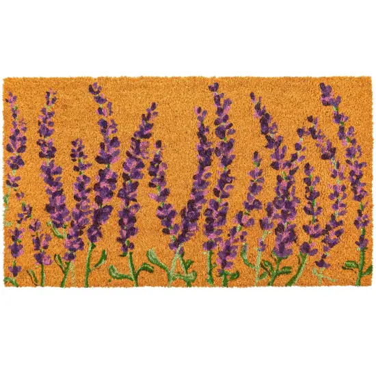 Juvale Lavender Door Mat – Welcome Mat for Front Door, Indoor, Outdoor, Entryway Welcome Rug for Patio, Porch – Coco Coir Doormat (17x30 inches) Brown {1}