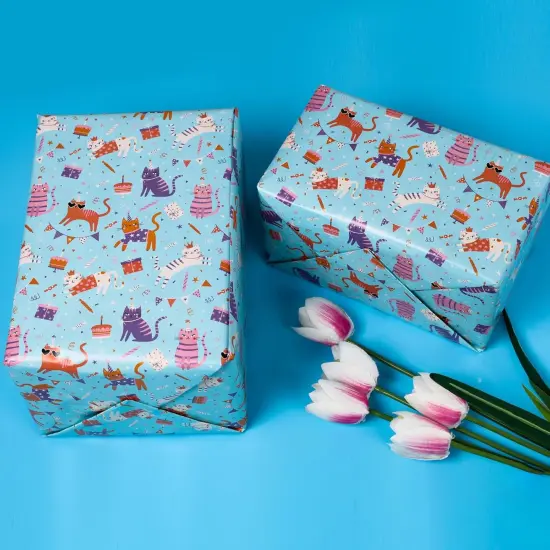 Gift Wrapping Paper for Girls and Boys 17 inch X 120 inch Per Roll {5}