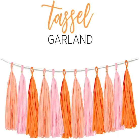 15PCS Pink Orange Peach DIY Tissue Tassel Garland Groovy Retro Party Tassel Banner Bunting Streamer for Girl Baby Shower Groovy Halloween Birthday Bridal Shower Nursery Classroom Wall Hanging D&eacute;cor {3}