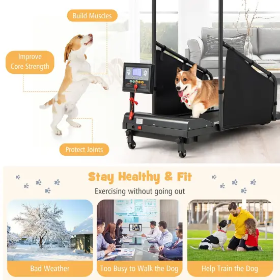 Black Metal Dog Treadmill with LCD Display, Remote Control and Safety Features {5}