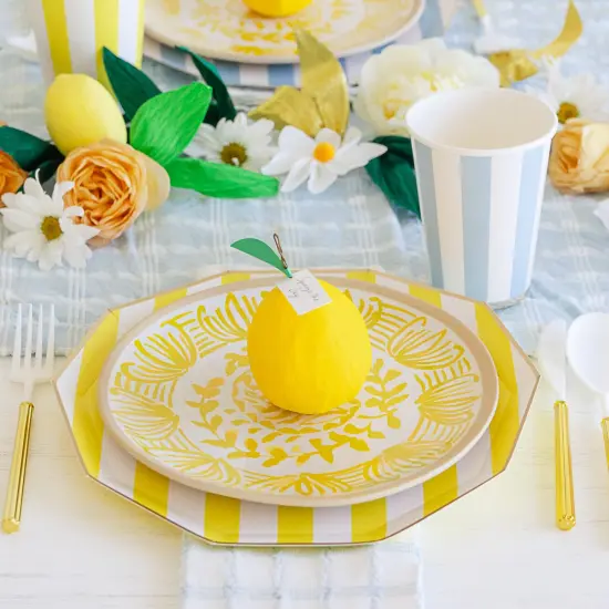 SKY BLUE SIGNATURE CABANA STRIPE CUPS {3}