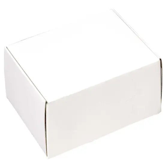 Pack/6: White Decorative Mailer - 12 x 9 x 3" {1}