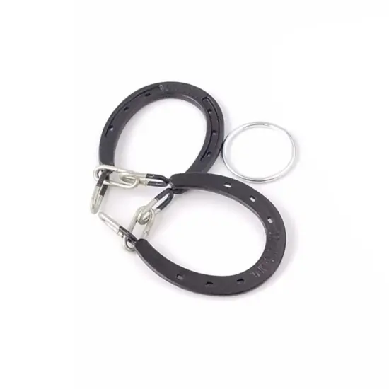 Puzzle: Dry Gulch Horseshoe {3}